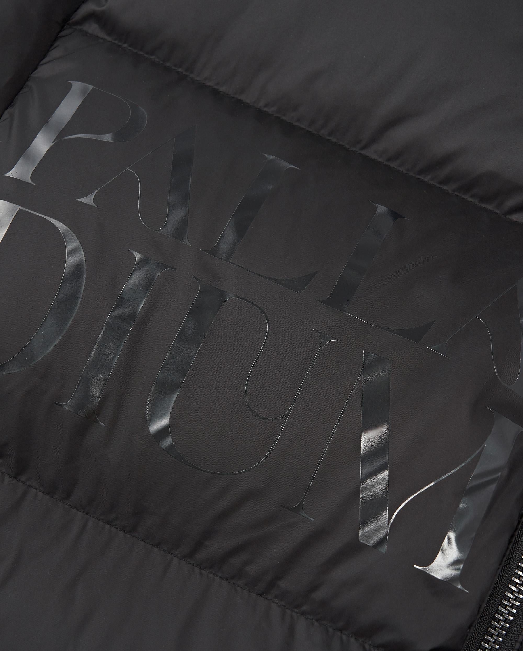 1010616-032 | MEN'S PALLADIUM LOGO DOWN JACKET | TAP SHOE - Image 6