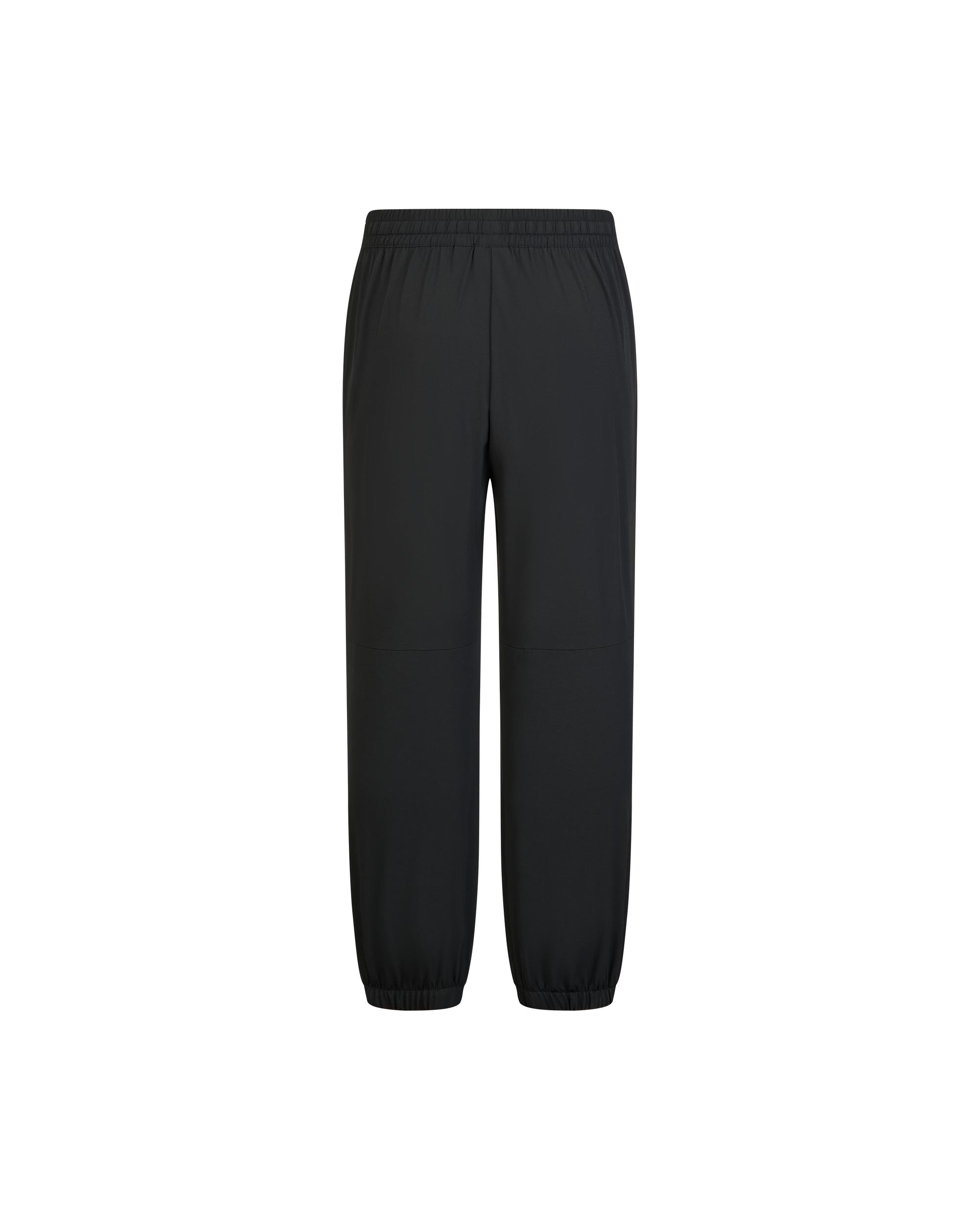1011342-032 | MEN'S PALLADIUM LOGO JOGGER PANTS | TAP SHOE - Image 5