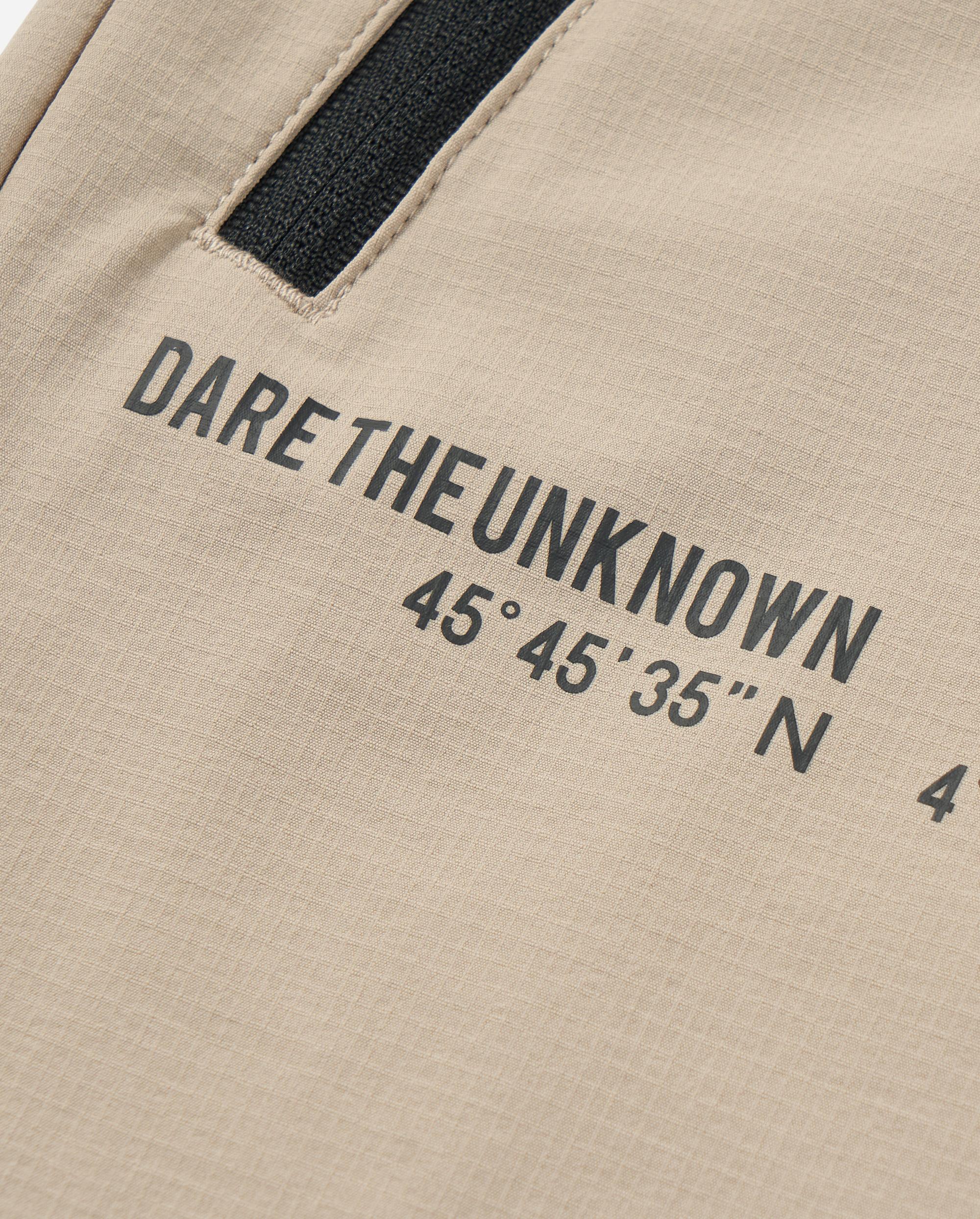 1011342-050 | MEN'S PALLADIUM LOGO JOGGER PANTS | MOON ROCK - Image 4