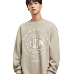 107753-027 | MEN'S PALLADIUM LOGO LOOSE FIT SWEATSHIRT | AQUA GRAY